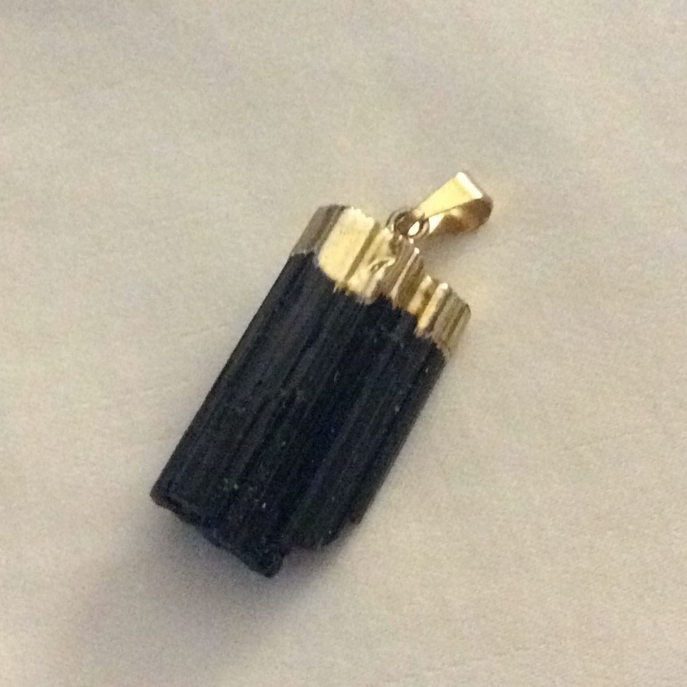 Black fossil with faux gold